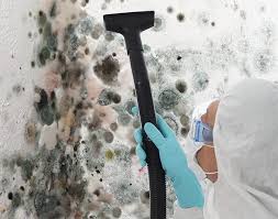 Mold Remediation for Vacation Homes in Jean Lafitte, LA